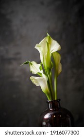 White Calla Lily In A Vase 