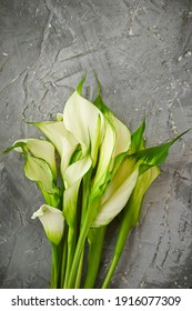 White Calla Lily In A Vase 