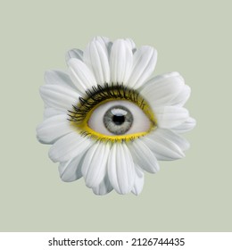 White camomile flower with girl's eye inside it on light background. Modern design. Contemporary art. Creative collage. Beauty, art, vision. Eyeball in flower. Surrealism, minimalism