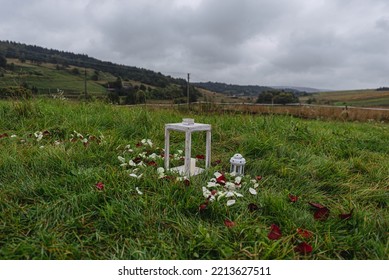 A White Candlestick In The Mountains.