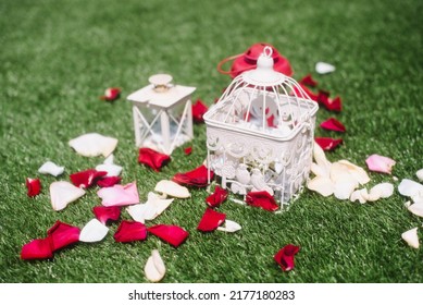 White Candlestick On The Grass Covered With Rose Petals