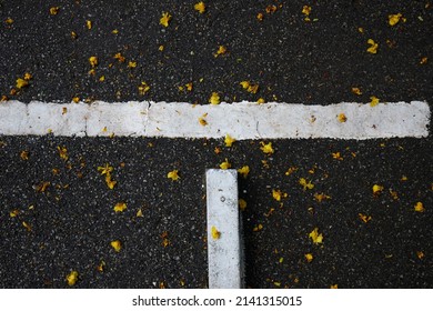 White Car Parking Spot Icon Isolated On Black Background. Empty Space For Sign