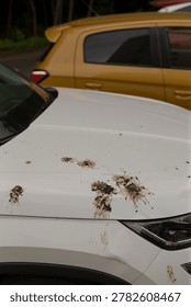 White car side panel marked by bird feces and muddy streaks, headlight visible, yellow hatchback in background, overcast light, urban parking context