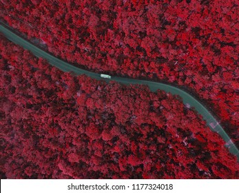 White Cargo Flat Bed Truck Transportation Driving Along The Road In The Mountain Motion Blur For Show Movement Speed Of Vehicle High Aerial Top Down Shot Infrared Effect