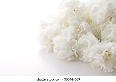 White Carnation