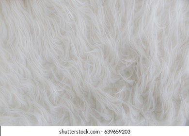 White Carpet Stock Photo 639659203 | Shutterstock