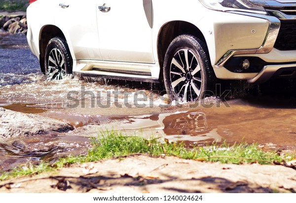 White cars are running on flooded roads in the\
forest. Car Undercarriage\
View.