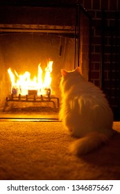 3,908 Cats and fireplace Images, Stock Photos & Vectors | Shutterstock