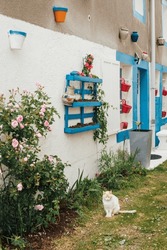 White Cat In Front Of A Colorful House. Cat Sitting In Front Of A Facade. Village Atmosphere On The French West Coast. Brittany Atmosphere. Feline Sitting In Front Of A White And Blue House. Vacation