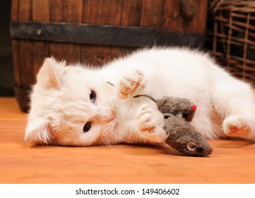 Bilder Stockfotos Und Vektorgrafiken Katze Maus Shutterstock