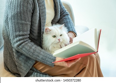 White Cat Reading A Book On The Woman's Lap