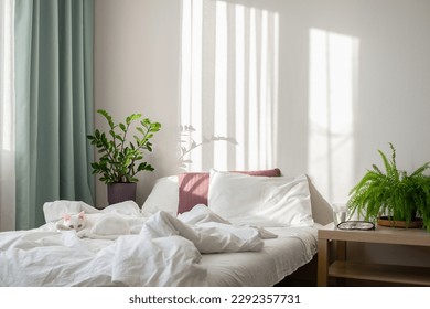 White cat resting on the bed. Bedroom interior in a Scandinavian minimalist stylewith plants. Urban jungle. Morning vibes. Bedroom interior concept. Sunny morning.