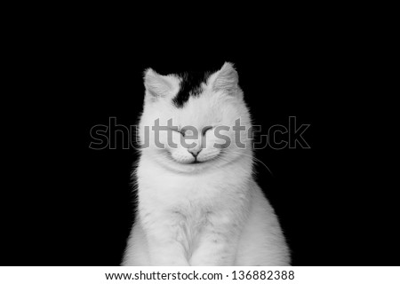 White cat smiling