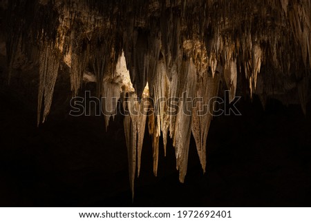 White Cathedral Formation Hangs from Top of Carlsbad Caverns in the Big Room