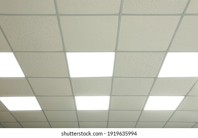 White Ceiling With Lighting In Office Room