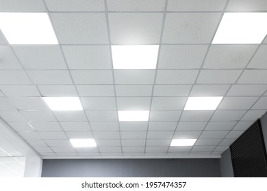 White Ceiling With Lighting In Office Room