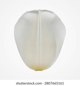 White ceramic egg with visible cracks and golden yolk, isolated