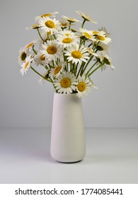 White Ceramic Vase Full Of Fresh Cut Daisy Flowers On An All White Background.  Nature Brought Inside For Still Life Photography Picture.