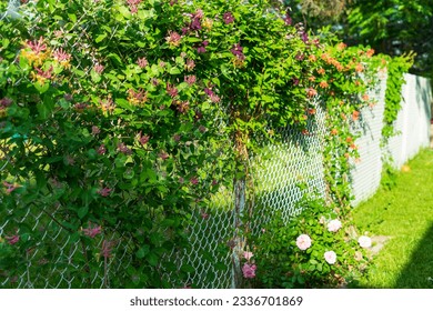 White chain-link fence braided with flowers - Powered by Shutterstock