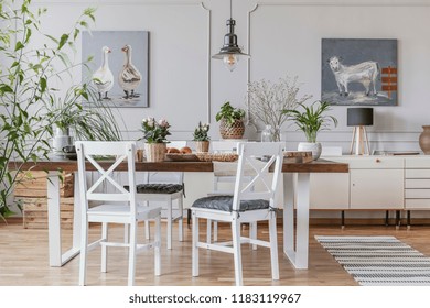 White chairs at table with flowers in rustic dining room interior with lamp and posters. Real photo
