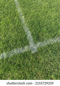 white chalk lines on the grass of a football field