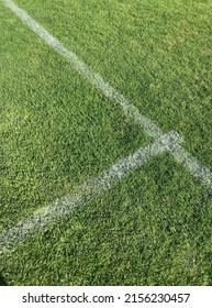white chalk lines on the grass of a football field