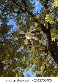 White Chandelier On Outdoor Tree At Golden Hour Sunset