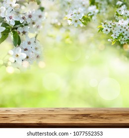 White Cherry Blossoms In A Park With Wooden Table For A Spring Decoration