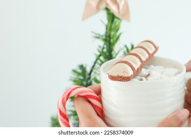 White chocolate on hot chocolate cup with candy cane. - Powered by Shutterstock