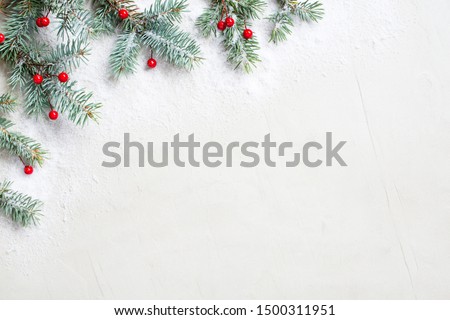 White Christmas background with Christmas tree branches and red berries, winter festive composition with copy space