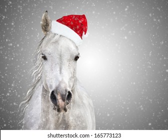 White christmas horse with santa hat on gray background snowfall