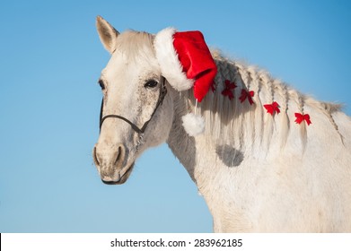 13,849 Santa horse Images, Stock Photos & Vectors | Shutterstock