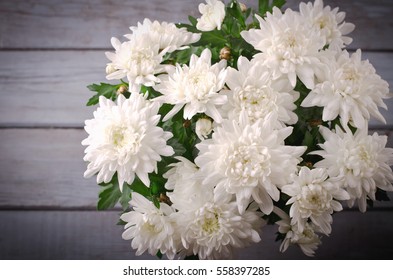 White Chrysanthemum in flower pot on grey wooden backround, horizontal - Powered by Shutterstock