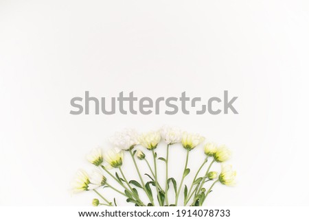 Similar – White flowers on white