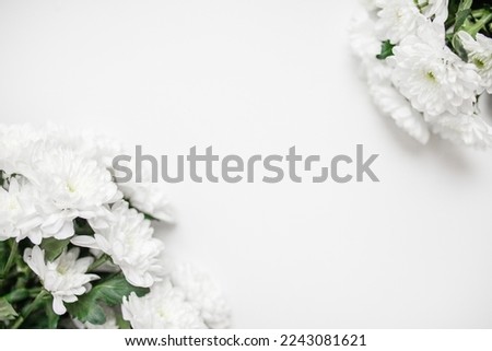 white chrysanthemums on white background frame. copy space. top view. flat lay