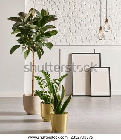 White classic and brick wall background concept, interior room, vase of green plant, black chair, frame, house appliance, marble floor.
