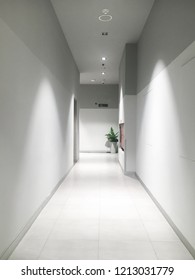 White clean corridor and relax area with small green tree in the corner of building.