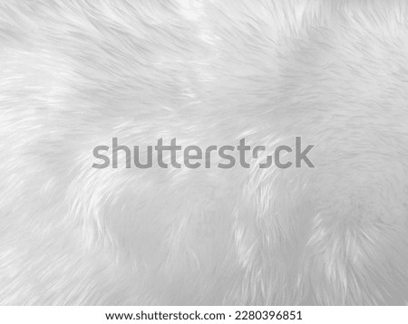 White clean wool texture background. light natural sheep wool. white seamless cotton. texture of fluffy fur for designers. close-up fragment white wool carpet...	