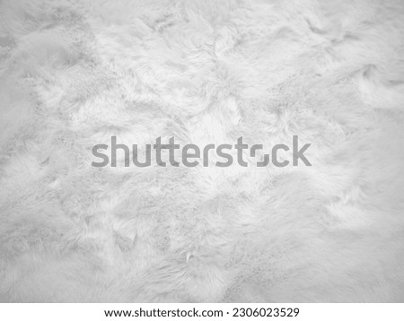 White clean wool texture background. light natural sheep wool. white seamless cotton. texture of fluffy fur for designers. close-up fragment white wool carpet..