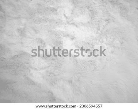 White clean wool texture background. light natural sheep wool. white seamless cotton. texture of fluffy fur for designers. close-up fragment white wool carpet..