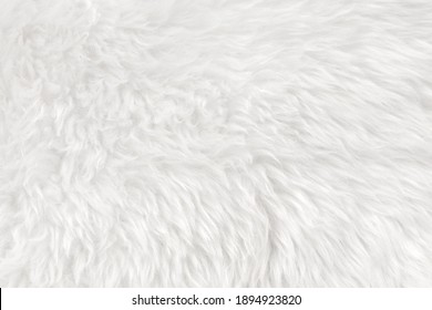 10,694 Fur plush texture Images, Stock Photos & Vectors | Shutterstock