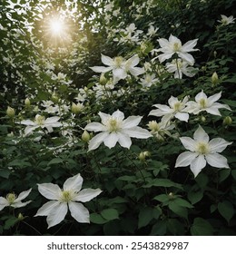 White Clematis with thin vines features delicate white flowers, blooming against slender, graceful vines. Its elegant, airy appearance adds beauty to gardens and trellises. - Powered by Shutterstock