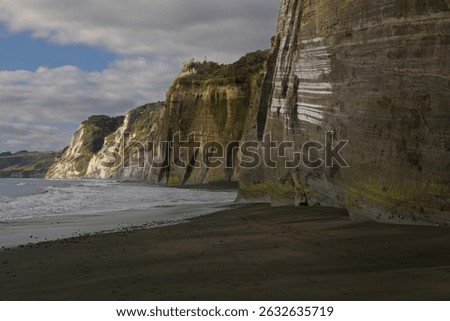 White cliffs on a New Zealand beach rise in bold, stacked layers, resembling a giant slice of layered cake, each striation revealing the slow work of time, wind, and sea. 