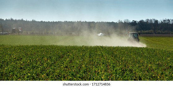 White Cloud Of Dust Whirled Up By A Tractor In The Field And Blown Away By The Wind.