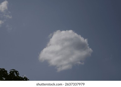 White Cloud Floating Above Trees