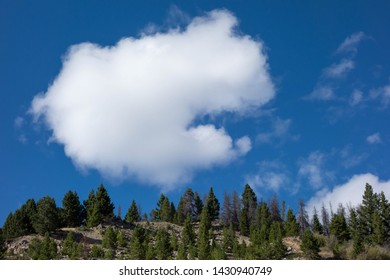 White Cloud Over Beaverhead-Deerlodge National Forest Near Helena