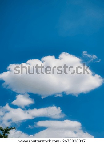 White clouds bloom gently against the brilliance of a cerulean sky