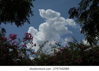 The white clouds are cheeful.