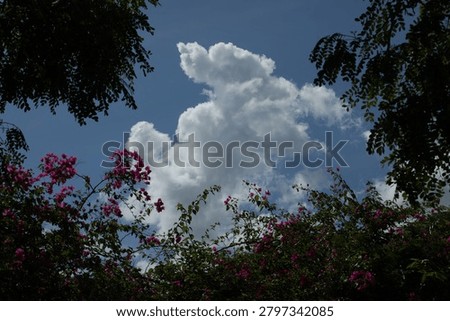 The white clouds are cheeful.