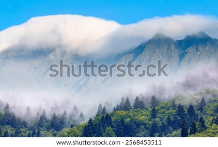 White clouds covered over the mountain -   Mountain scenery of Sapa,  Sapa is an incredibly picturesque town that lies in the Hoang Lien Son mountain range - Northwest Vietnam.